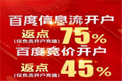 网络推广竞价策略解析与应用案例
